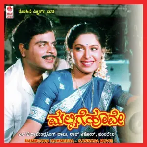 Nammoora Hammeera image