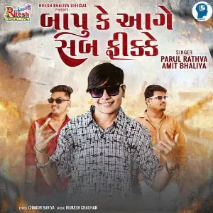 Bapu Ke Aage Sab Fikke image