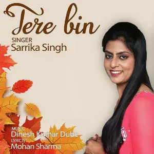 Tere Bin image