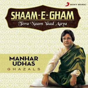 Shaam-E-Gham Tera Naam Yaad Aaya image