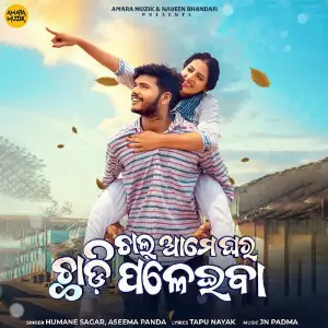 Chal Ame Ghara Chadi Paleiba image