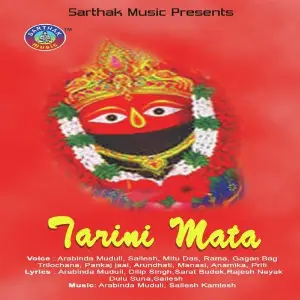 Tarini Mata image