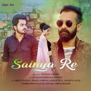 Sainya Re image
