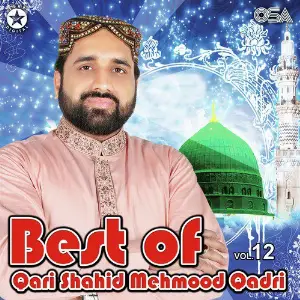 Best Of Qari Shahid Mehmood Qadri, Vol. 12 image