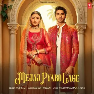 Mejaj Pyaro Lage image