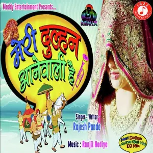 Meri Dulhan Aane Wali Hai - Dj Mix image