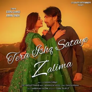 Tera Ishq Sataye Zalima image