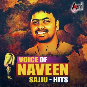Voice Of Naveen Sajju Hits image