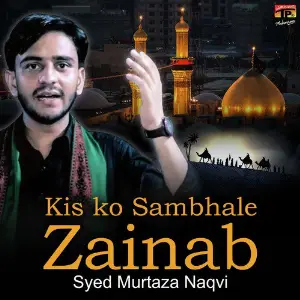 Kis Ko Sambhale Zainab - Single image