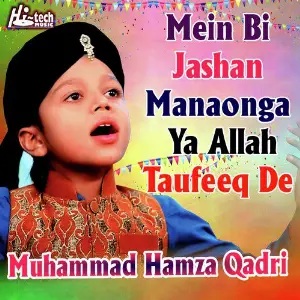 Mein Bi Jashan Manaonga Ya Allah Taufeeq De image