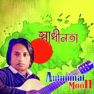 Sadhinota - Single image