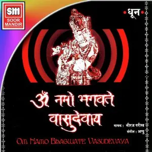 Om Namo Bhagwate Vasudevay image