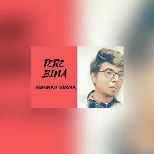 Tere Bina image