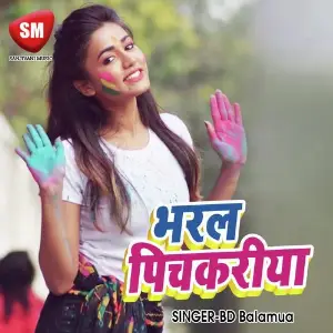 Bharal Pichkariya (Bhojpuri Holi Song) image