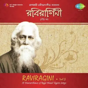 Raviragini 3 - Vol. 3 image