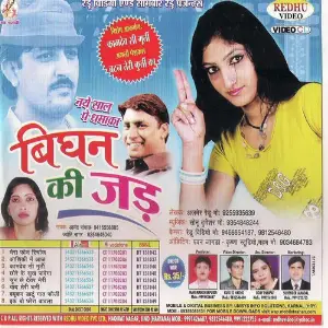 Bighan Ki Jadd Jyoti Nagar
