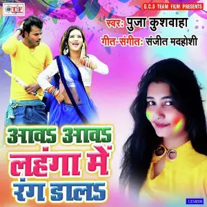 Aawa Aawa Lahnga Me Rang Dala image