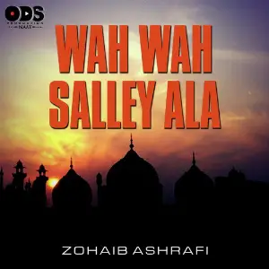 Wah Wah Salley Ala - Single image