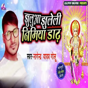 Jhuluwa Jhuleli Nimiya Dhad image