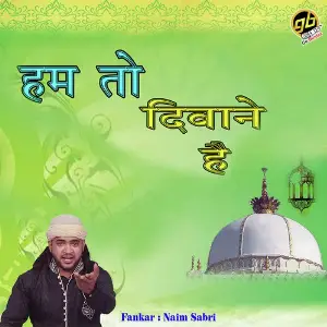 Hum To Diwane Hai image