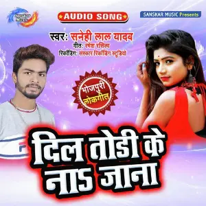 Dil Todi Ke Na Jana image