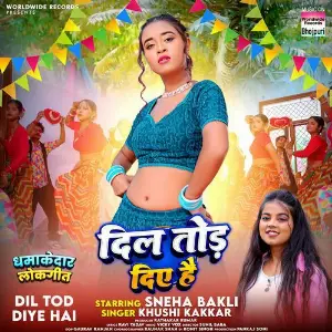 Dil Tod Diye Hai image