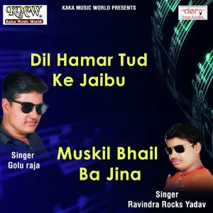 Dil Hamar Tud Ke Jaibu image