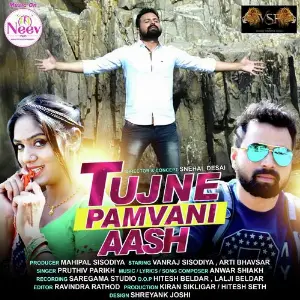 Tujne Pamvani Aash image