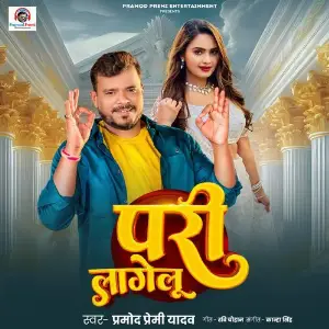 Pari Lagelu image