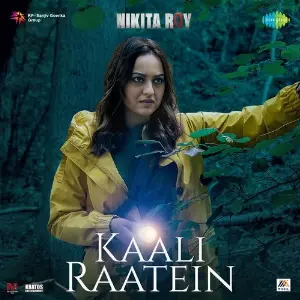 Kaali Raatein (From Nikita Roy) image