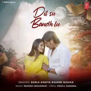 Dil Su Bandh Lu image