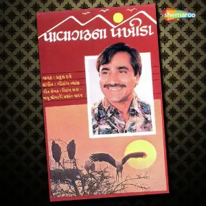 Pavaghad Na Pankhida image