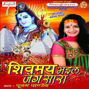 Shivmay Bhai Jag Sara image