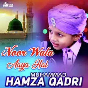 Muhammad Hamza Qadri image