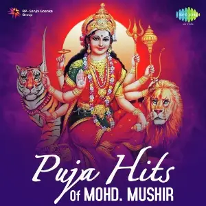 Puja Hits - Mohd. Mushir image