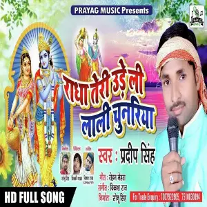 Radha Teri Udeli Lali Chunariya image