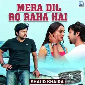 Mera Dil Ro Raha Hai image