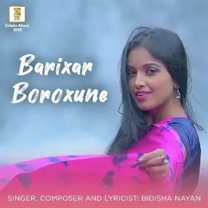 Barixar Boroxune image