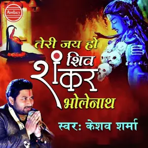 Jai Shiv Shankar Bholenath image