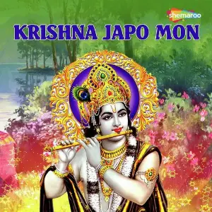 Krishna Japo Mon image