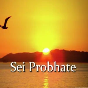 Sei Probhate image