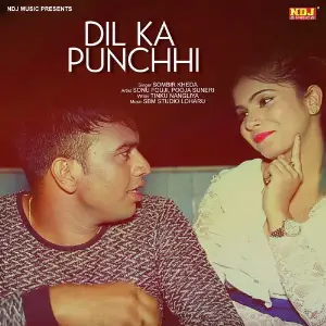 Dil Ka Punchhi image