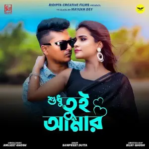 Sudhu Tui Amar image