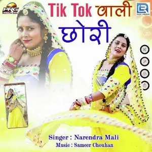 Tik Tok Wali Chhori image