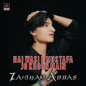 Hai Wase e Mustafa Jo Khoon Main image