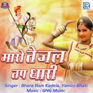 Maro Tejal Tapdhari image