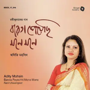 Barota Peyechhi Mone Mone image