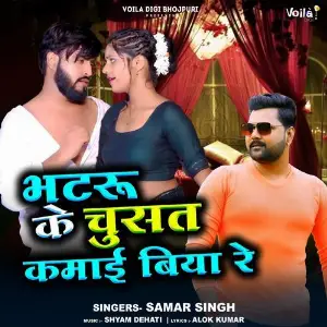 Bhatru Ke Chusat Kamaai Biya Re image