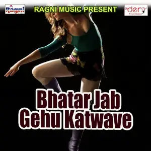 Bhatar Jab Gehu Katwave image