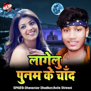 Lagelu Punam Ke Chand Ho image